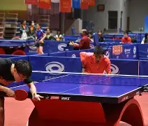 UFC锦标赛，天山海豚队与岭北铁骑队强势横扫，VAR改判成焦点！外援联手发威的简单介绍